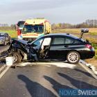 Fotka nr 3 z 13