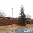 Fotka nr 2 z 3
