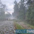 Fotka nr 5 z 8