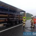 Fotka nr 1 z 3
