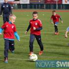 zdjęcie nr 31