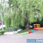 Fotka nr 0 z 12