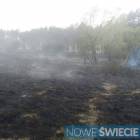 Fotka nr 0 z 13