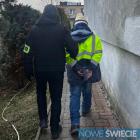 Fotka nr 3 z 11