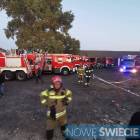 Fotka nr 4 z 5