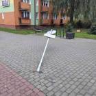 zdjęcie nr 15