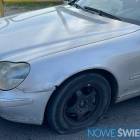 Fotka nr 5 z 8