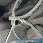 Fotka nr 2 z 5