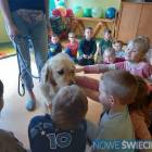 zdjęcie nr 35