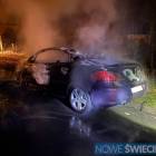Fotka nr 2 z 10