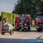 Fotka nr 1 z 5