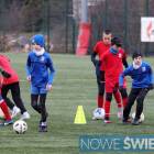 Fotka nr 2 z 19