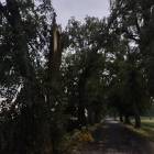 zdjęcie nr 8