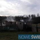 Fotka nr 3 z 11