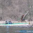 zdjęcie nr 14