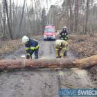 zdjęcie nr 18