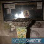 Fotka nr 4 z 7