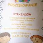 zdjęcie nr 8