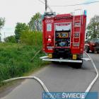zdjęcie nr 12