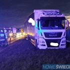 Fotka nr 4 z 13