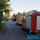 Fotka nr 4 z 12