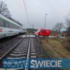 Fotka nr 4 z 13
