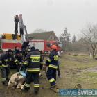 Fotka nr 3 z 13