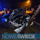 Fotka nr 4 z 10