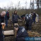 zdjęcie nr 17