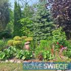 zdjęcie nr 42