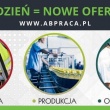 zdjęcie nr 
