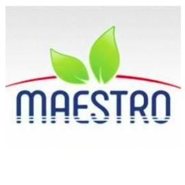 Maestro