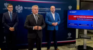Wirus ASF w naszym regionie. Zwołano posiedzenie sztabu kryzysowego