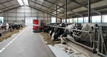 Występowanie chorób zakaźnych u zwierząt na terenie powiatu. Odbędą się spotkania 