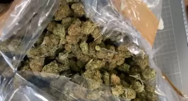 Marihuana ukryta pomiędzy owocami a słodyczami. Przesyłka miała trafić do paczkomatu