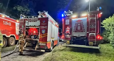 Z ogniem walczyli strażacy z pięciu gmin. Straty są duże