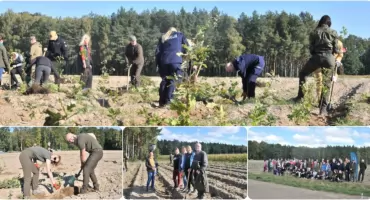 Tutaj były pola. Teraz rośnie las [ZDJĘCIA]