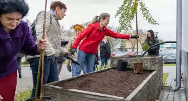 W Świeciu powstał ogród deszczowy. Będą piękne kompozycje [ZDJĘCIA]
