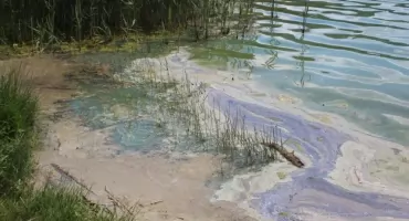 Wzrasta liczba zgłoszeń dotyczących podejrzanego zabarwienia wody. WIOŚ wyjaśnia