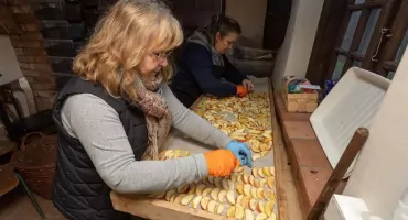 Za nami Dni Otwarte Sadów w Chrystkowie. Wydarzenie zgromadziło miłośników tradycyjnego sadownictwa 