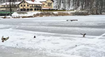 Co dalej w pogodzie? Są najnowsze doniesienia dla powiatu świeckiego