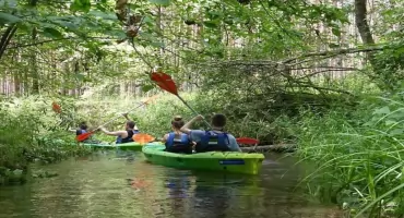 Jaka przyszłość czeka rzekę Mątawa? Debatowali eksperci