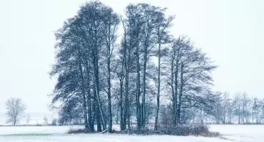 Znowu przymrozi! Jest ostrzeżenie dla powiatu świeckiego