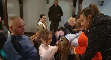 Noc sów za nami. To było piękne święto wiedzy o tych wspaniałych ptakach 