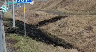 Pożar przy trasie S5. Na miejscu były dwa zastępy straży
