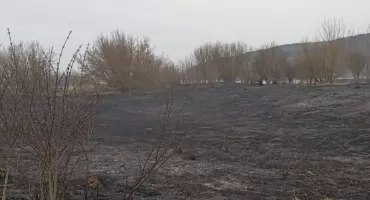 Duży pożar traw. Służby apelują