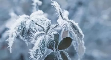 Ostrzeżenie meteorologiczne dla powiatu świeckiego. Zrobi się zimno