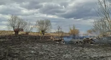 Pożar na terenie parku krajobrazowego. Ostry wpis strażaków