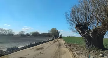 Kolejna noc z przymrozkami. Jest ostrzeżenie IMGW