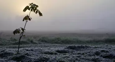 Kolejna noc z przymrozkami. Jest ostrzeżenie IMGW